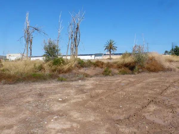 Terreno en La Huerta