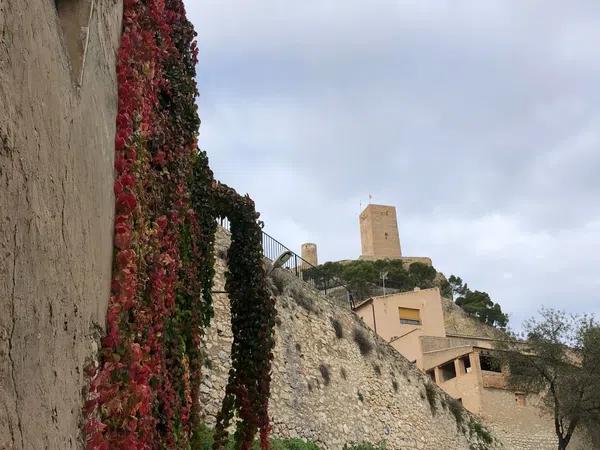 Terreno en els barrancons