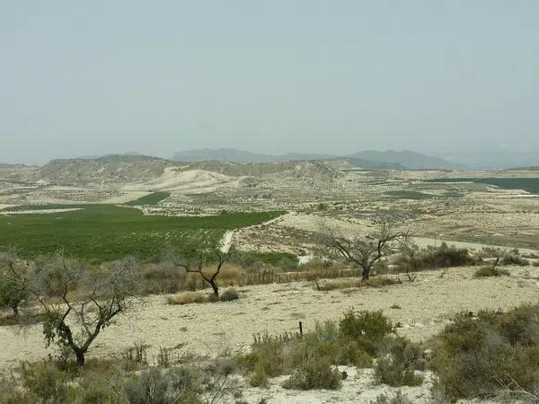 Terreno en calle del Campo, 2