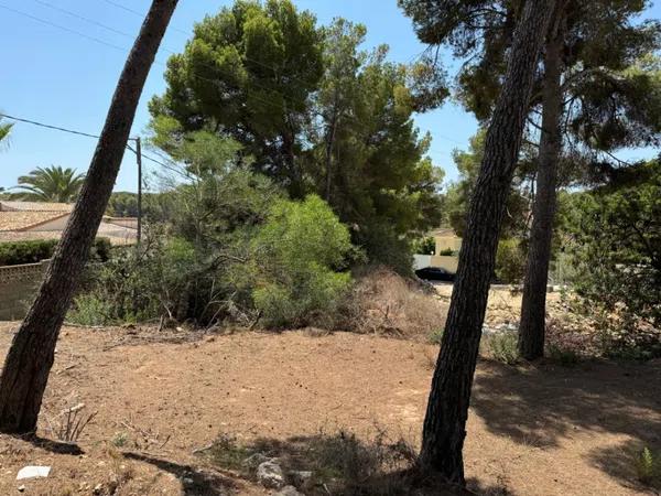 Terreno en Pinar de Advocat-Cometa