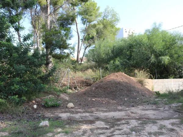 Terreno en Pinar de Advocat-Cometa