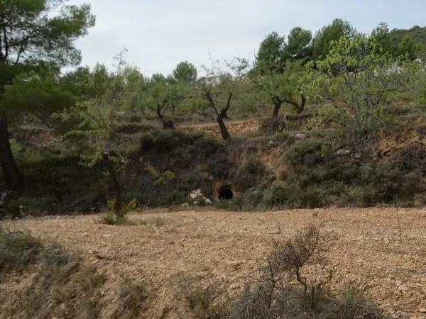 Terreno en poligono 7, 7 poligono