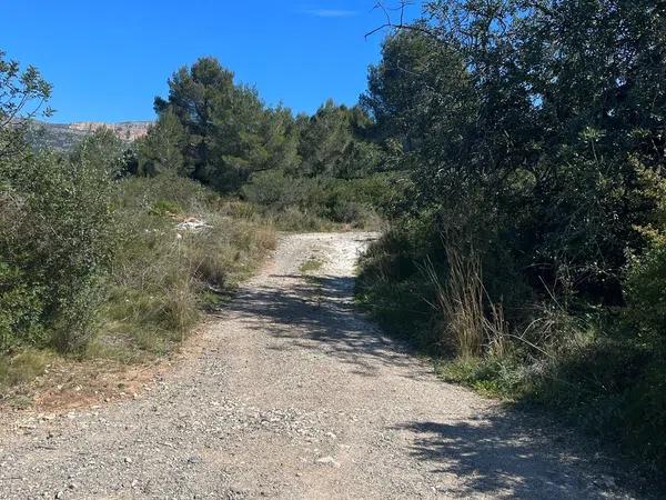 Terreno en Poligono 1, 490