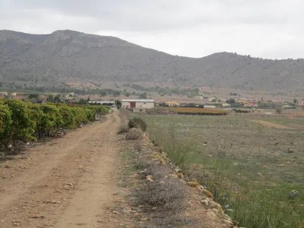 Terreno en Hondón de las Nieves