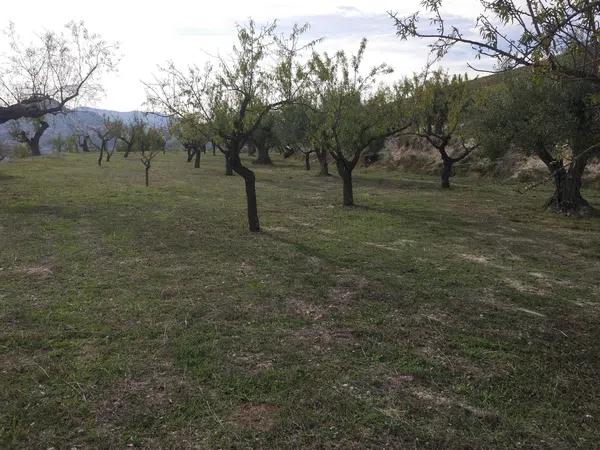 Terreno en Cv-710, km 22