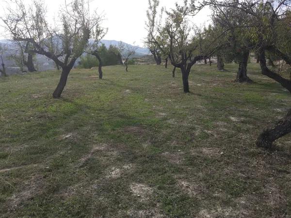 Terreno en Cv-710, km 22