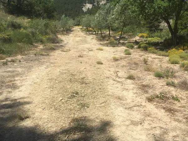 Terreno en carretera de Benifallim a torremanzanas, km 11