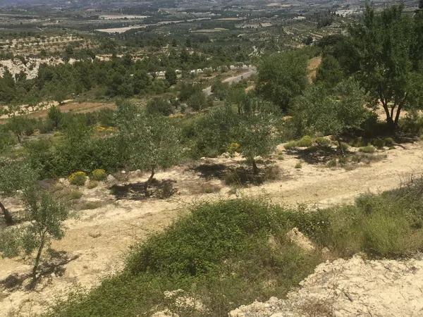 Terreno en carretera de Benifallim a torremanzanas, km 11