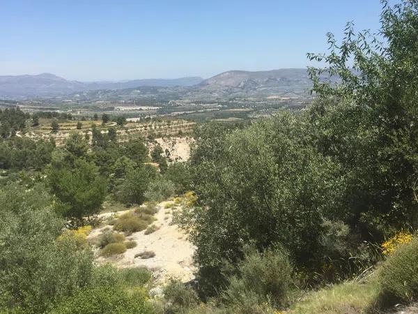 Terreno en carretera de Benifallim a torremanzanas, km 11