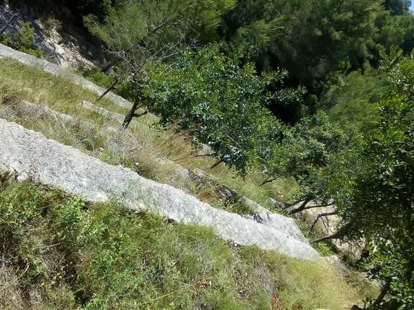 Terreno en Les Rotes/Las Rotas