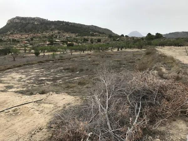 Terreno en paraje las macarobas, 7