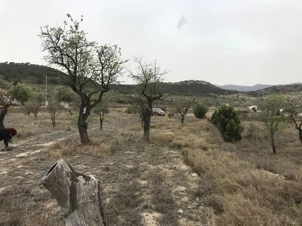 Terreno en paraje las macarobas, 7