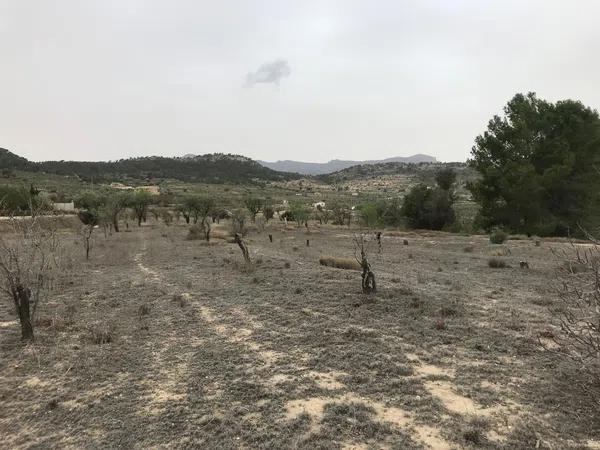 Terreno en paraje las macarobas, 7