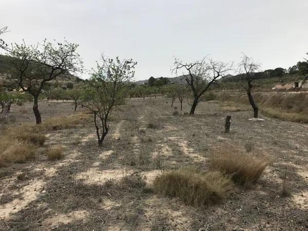 Terreno en paraje las macarobas, 7