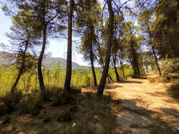 Terreno en Partida Casilla, km 5