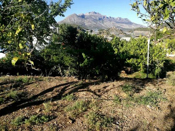 Terreno en Partida Cotelles, 17