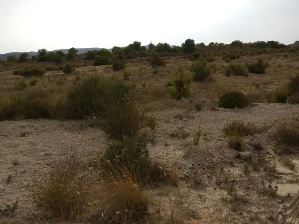 Terreno en camino Peña de las Águilas, km 1