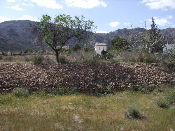 Terreno en Montepinar-La Aparecida-Raiguero