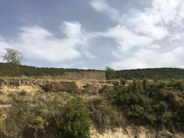 Terreno en Cv-782, 4 PolgonoParcela