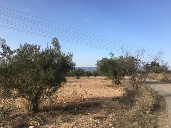 Terreno en Carret.de biar a campo de mirra