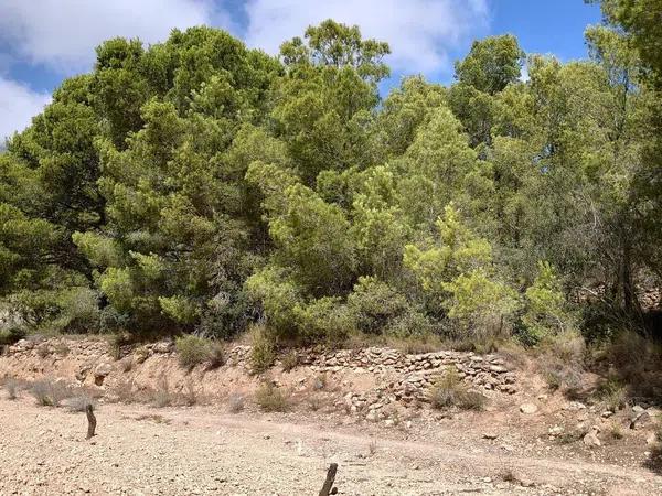 Terreno en Partida Tapiada Marraix, 30