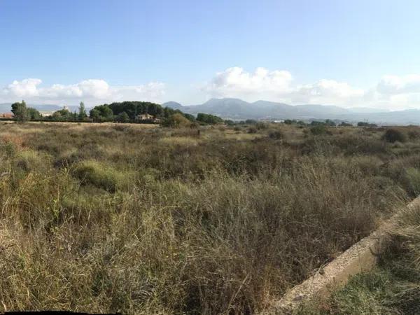 Terreno en Cra. Salinas y Camino del Estudiante, km 3