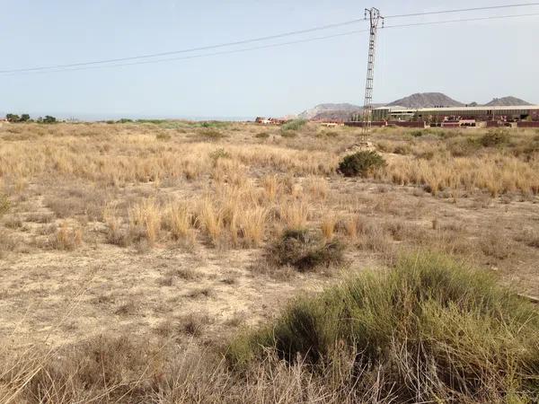 Terreno en carretera partida verdegas