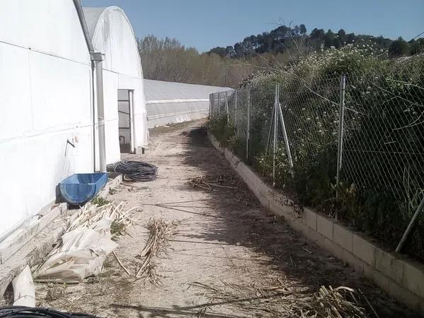 Terreno en carretera Penella, km 1