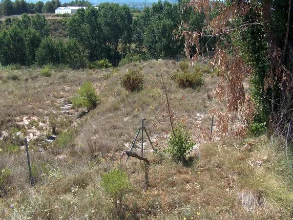 Terreno en camino de la Lloma, 4