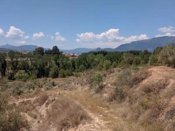 Terreno en camino de la Lloma, 4