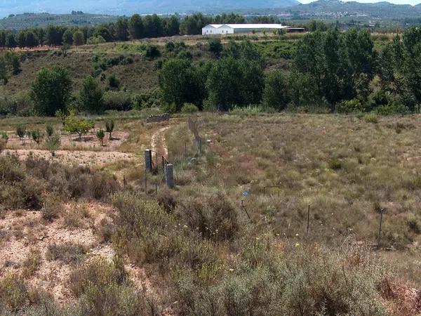 Terreno en camino de la Lloma, 4