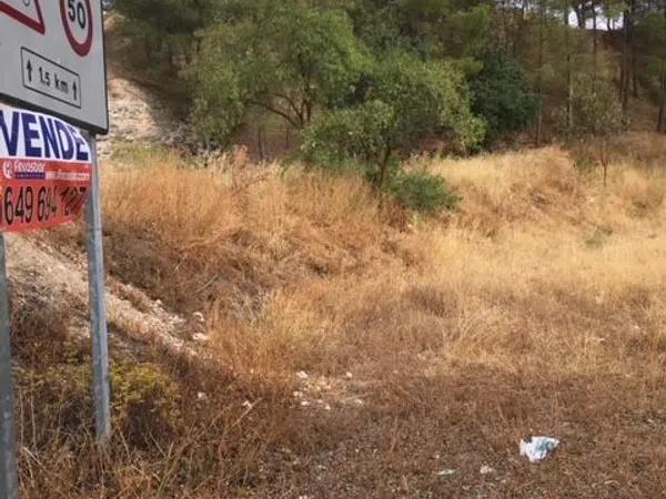 Terreno en camino de la fontasanta