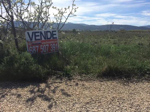 Terreno en el carabasí (los rosales)