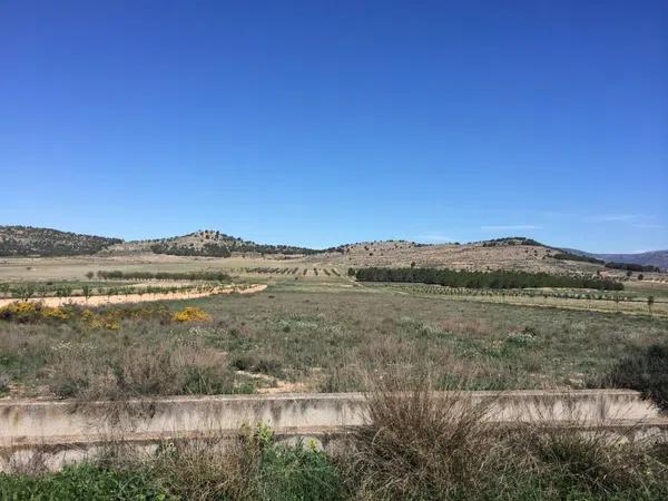 Terreno en el carabasí (los rosales)