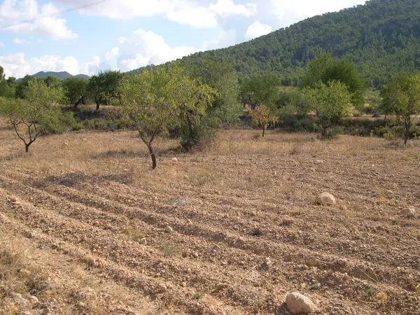 Terreno en carr.biar-bañeres km. 5,5 s/n