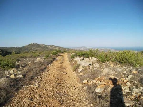 Terreno en Jalón