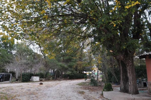 Chalet en Pinoso