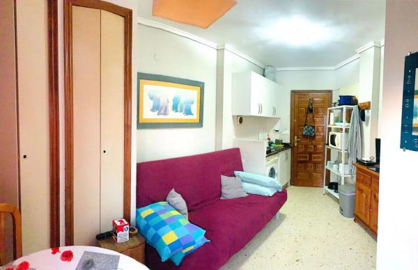 Estudio en Barrio Les Bassetes-El Marjal