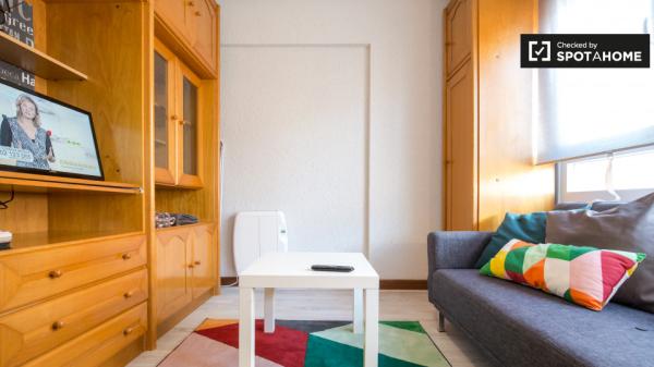 Habitación soleada en apartamento de 3 dormitorios en Uribarri, Bilbao