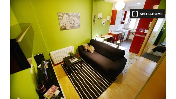 Large room in shared apartment in Rekalde, Bilbao