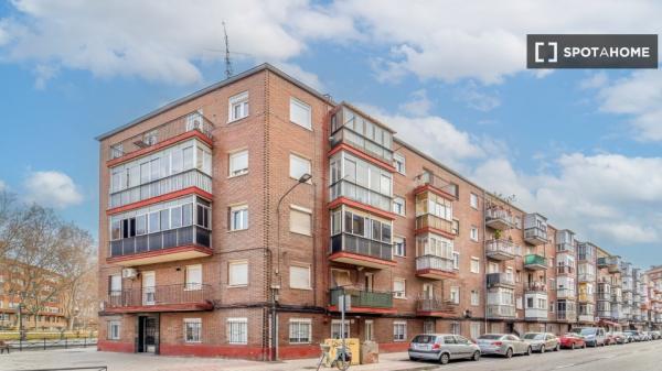 Shared apartment in Valladolid