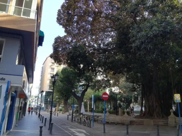 Estudio en calle Médico Manero Mollà, 12