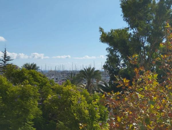 Piso en avenida de Ramón y Cajal