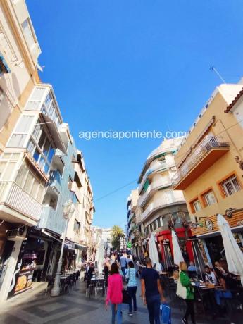 Piso en alameda del Alcalde Pedro Zaragoza Orts