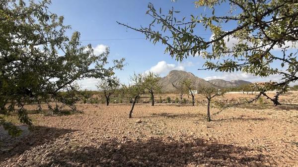 Casa rural en Lugar Barbarroja, 285