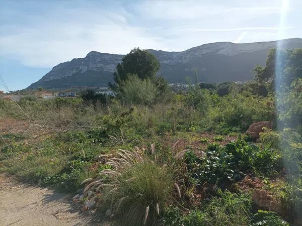 Terreno en camino Coll de Pous