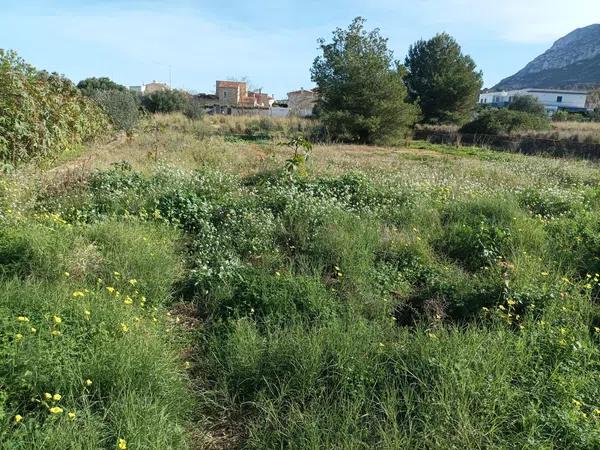 Terreno en camino Coll de Pous