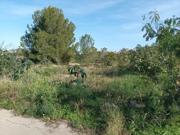 Terreno en camino Coll de Pous