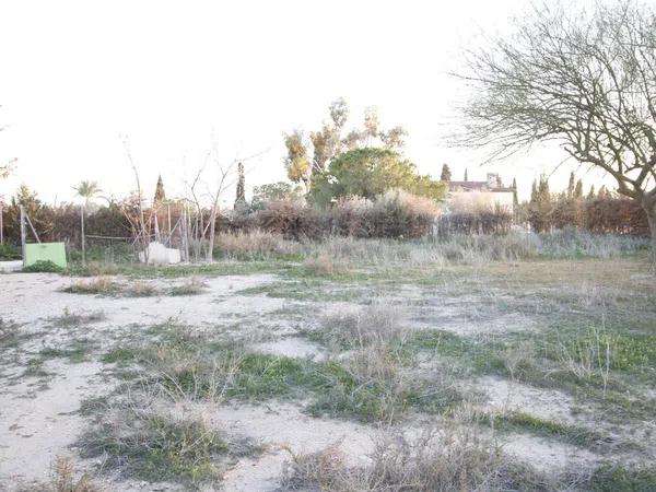 Terreno en Jubalcoi-Saladas