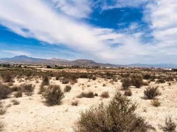 Terreno en La Fustera